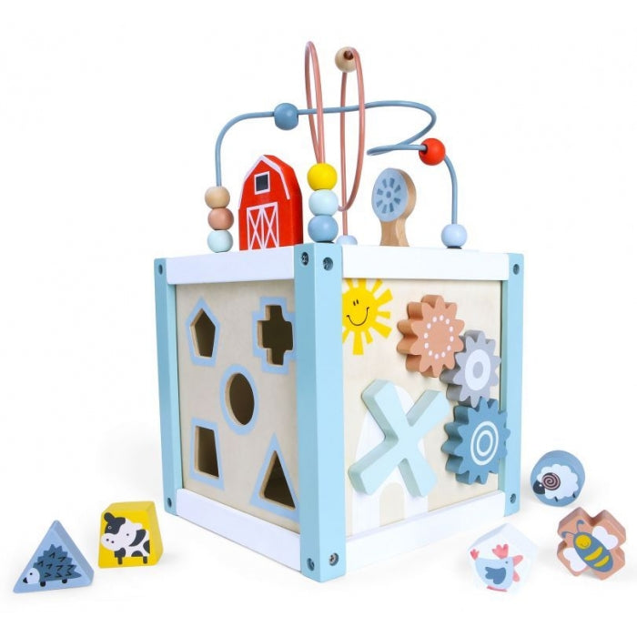 Cub educational din lemn 1020 Ecotoys
