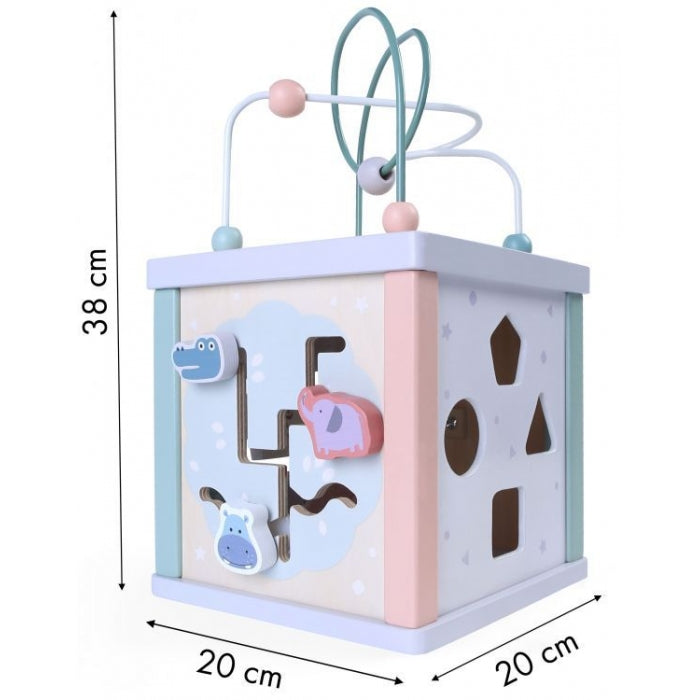 Cub educational din lemn Ecotoys 1021