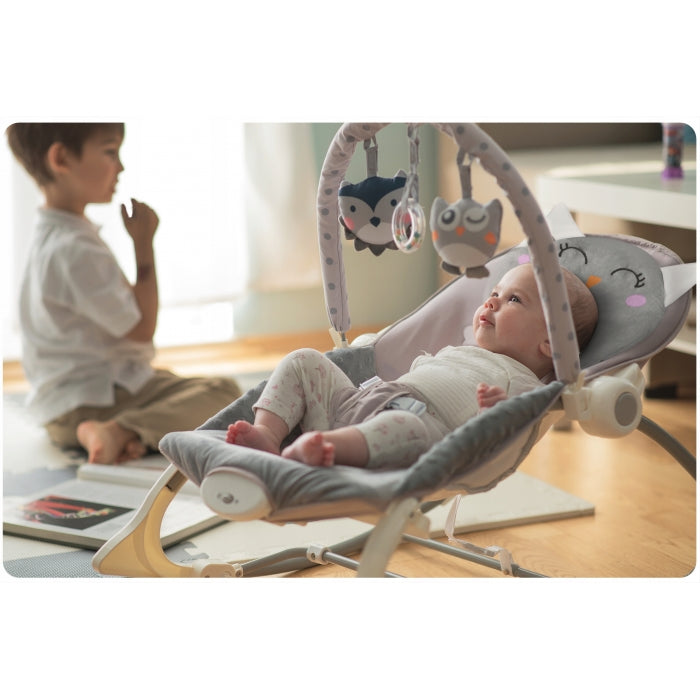 Perna in forma de bufnita pentru balansoare/leagane Ricokids 7327