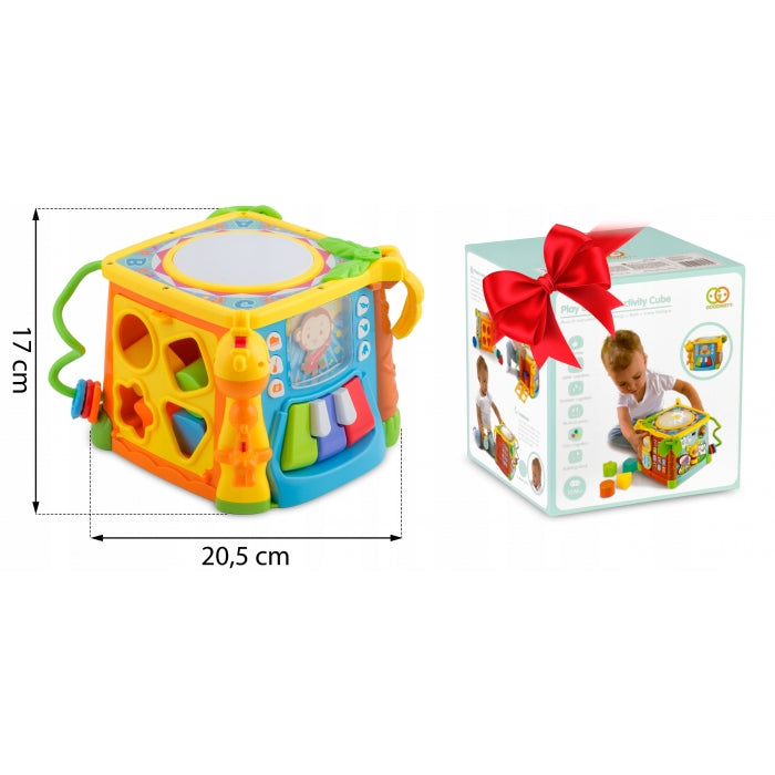 Cub educational cu blocuri, sunete si diverse activitati Ricokids RK-748