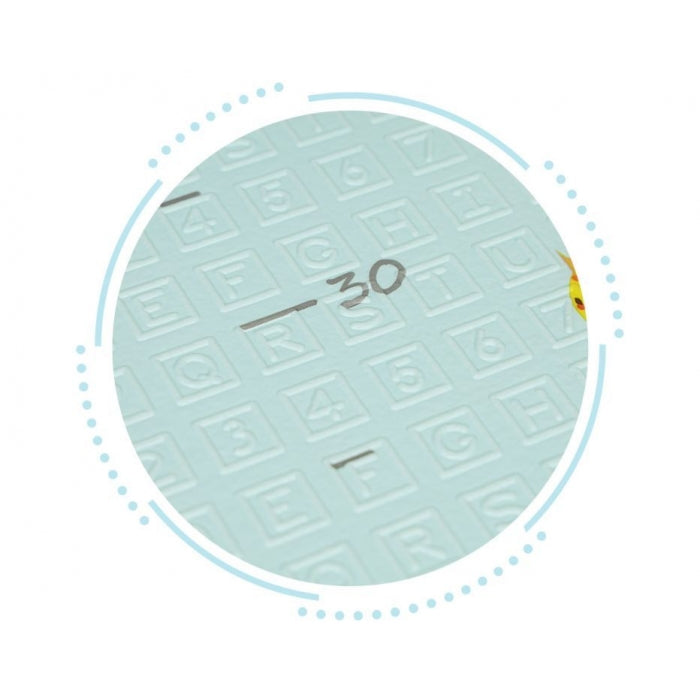 Salteluta de joaca 2 in 1 Ecotoys ECOEVA014