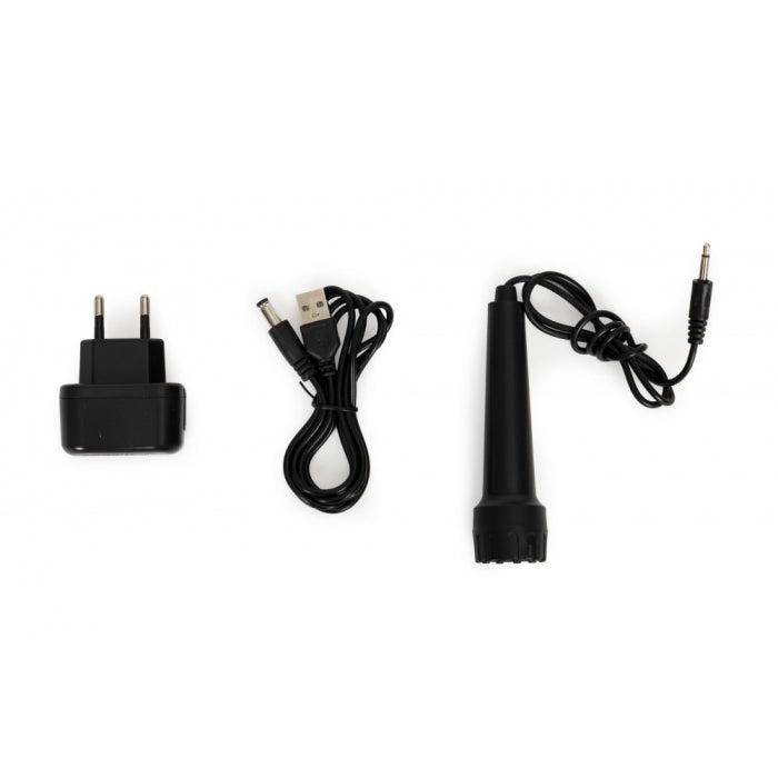 Pian electric pentru copii cu microfon Ecotoys HC158194