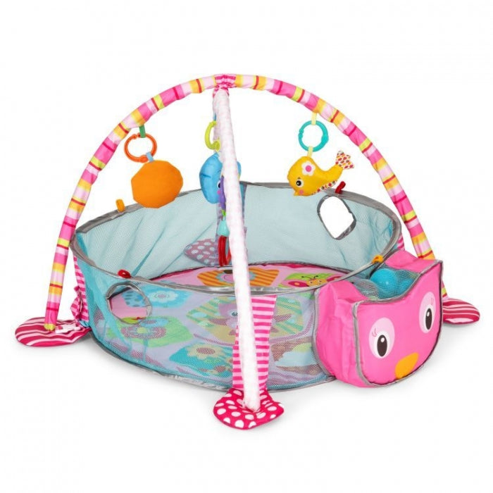 Salteluta de joaca cu bile si jucarii Ecotoys 88970