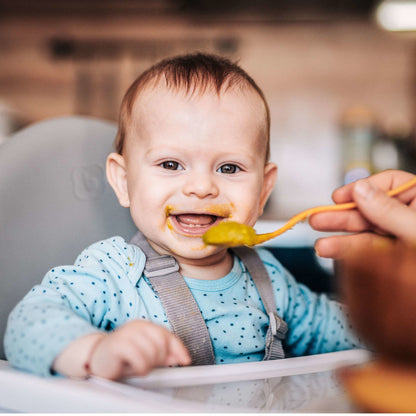 BabyGo - Scaun de masa transformabil Scandi Grey