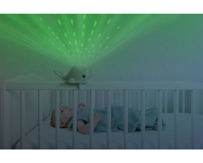  Zazu Kids ZA-WALLY-03