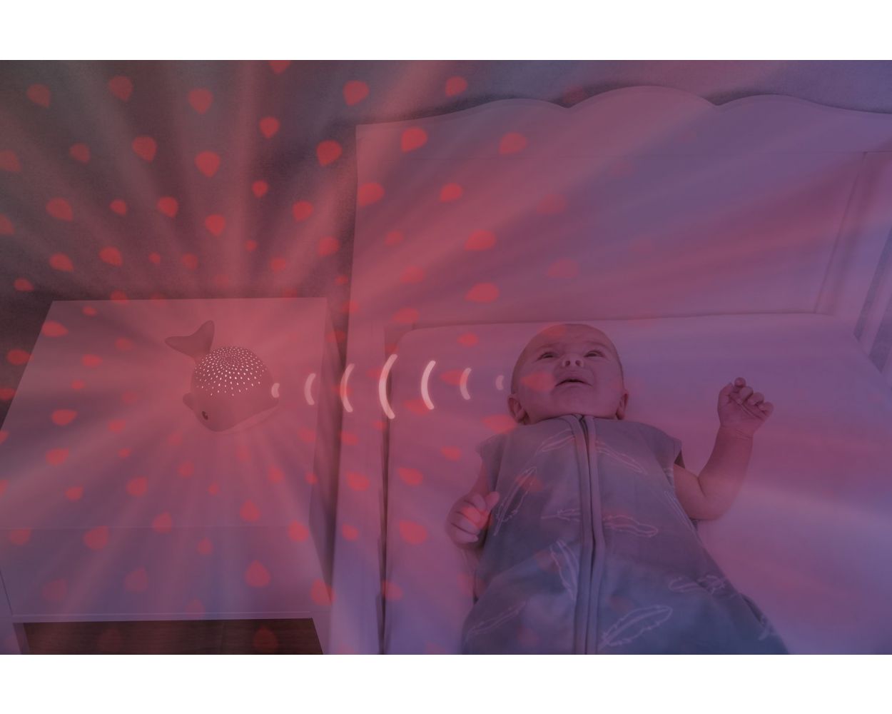  Zazu Kids ZA-WALLY-02