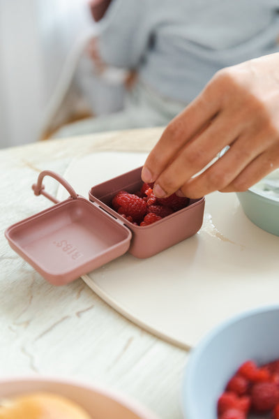 BIBS x LIBERTY - Cutie multifunctionala pentru depozitare suzete, Eloise Blush