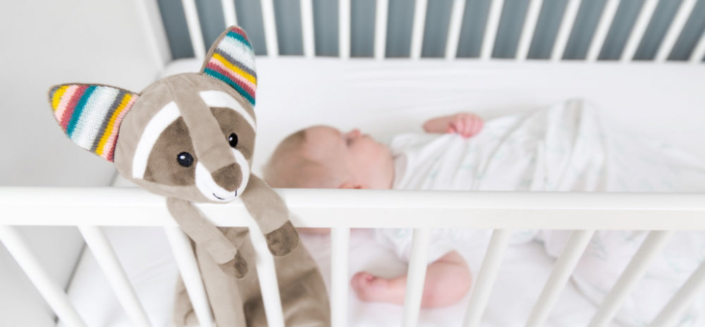  Zazu Kids ZA-ROBIN-01