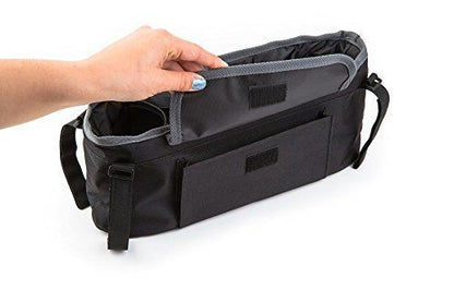  Prince Lionheart 0356