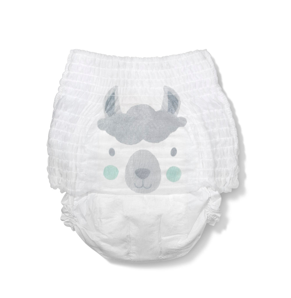 Scutece Hipoalergenice Eco Kit&Kin Chilotel YP2, Marimea 8, 19 kg+, 14 buc  1894 KKS8PANTSFL