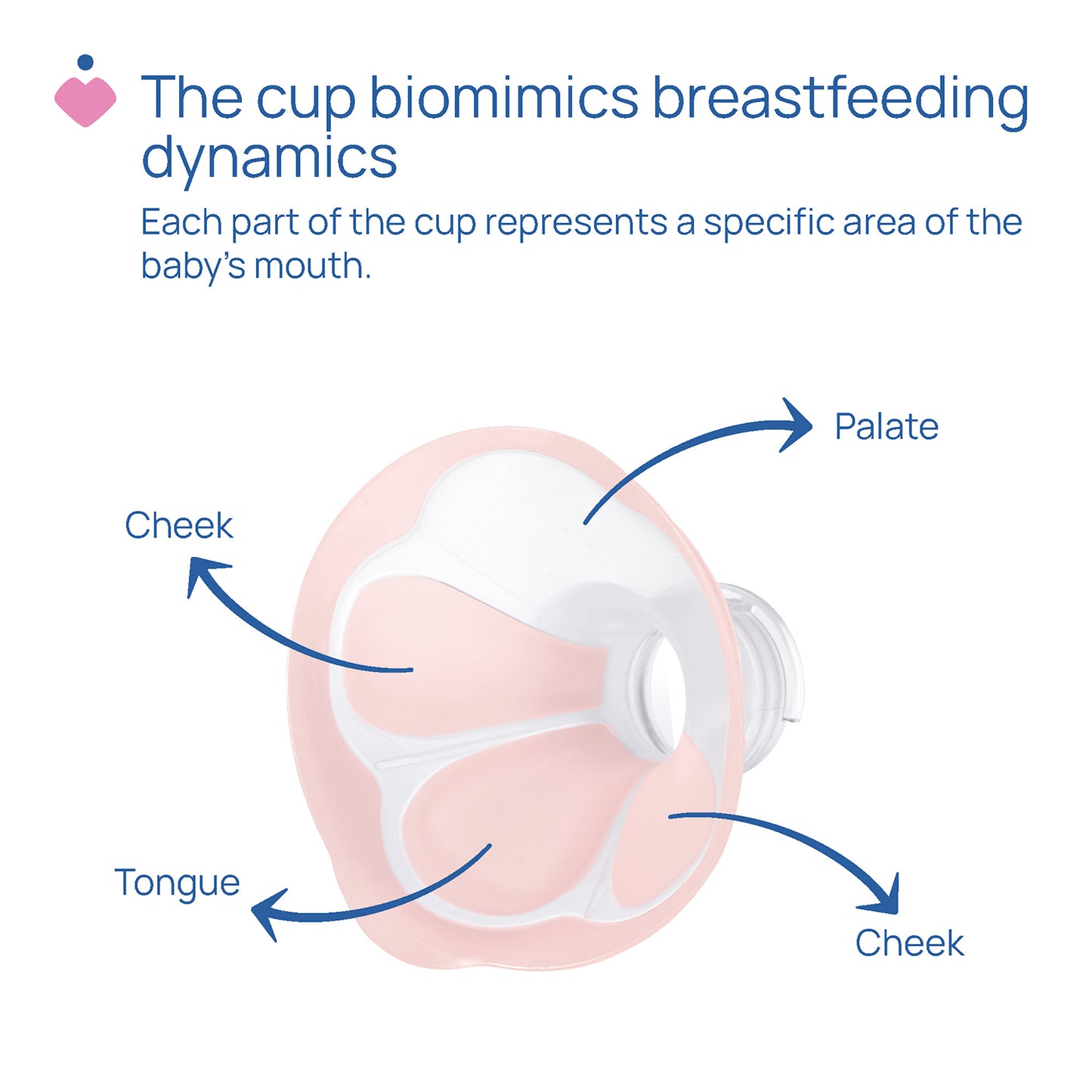 Pompa electrica Chicco stimulatoare pentru extragerea laptelui, 0 luni+