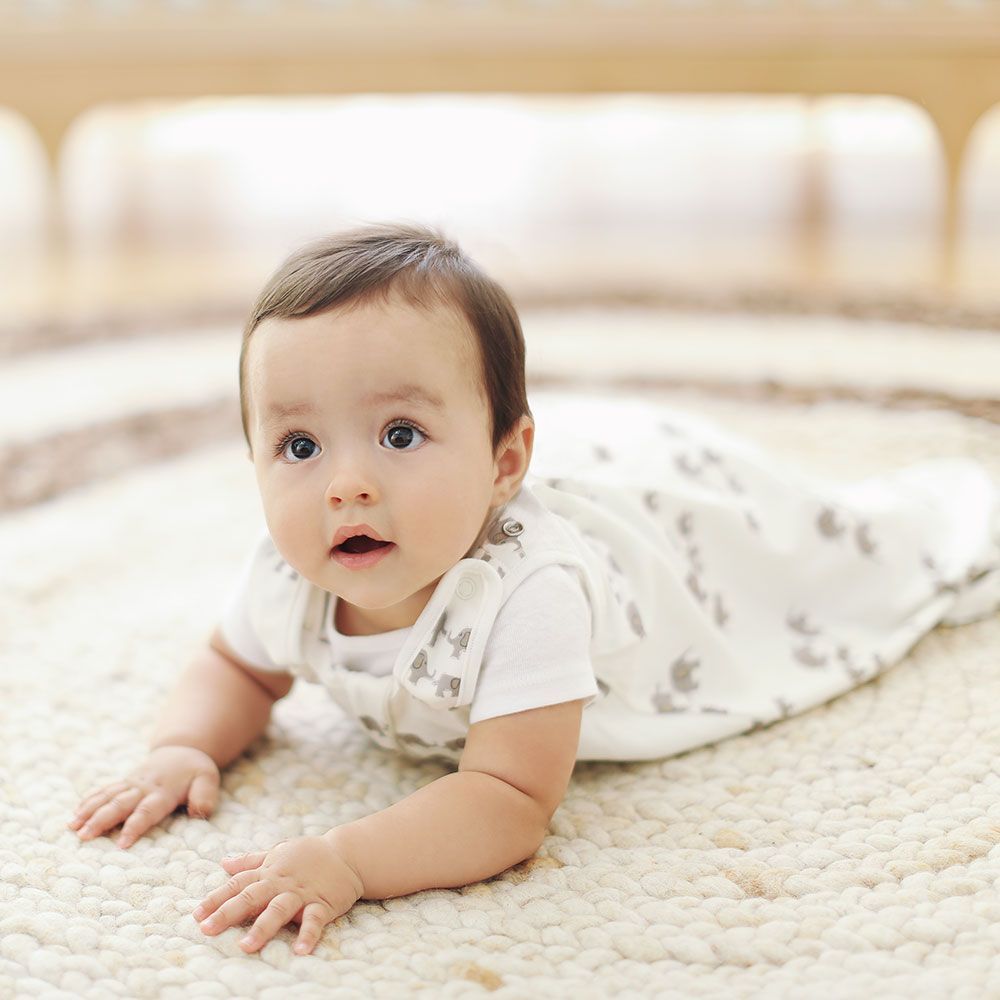  Ergobaby SLBSMELEPH1