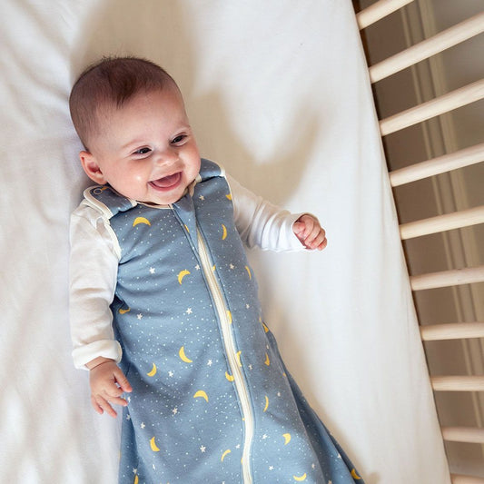  Ergobaby SLBSMSTEEL1