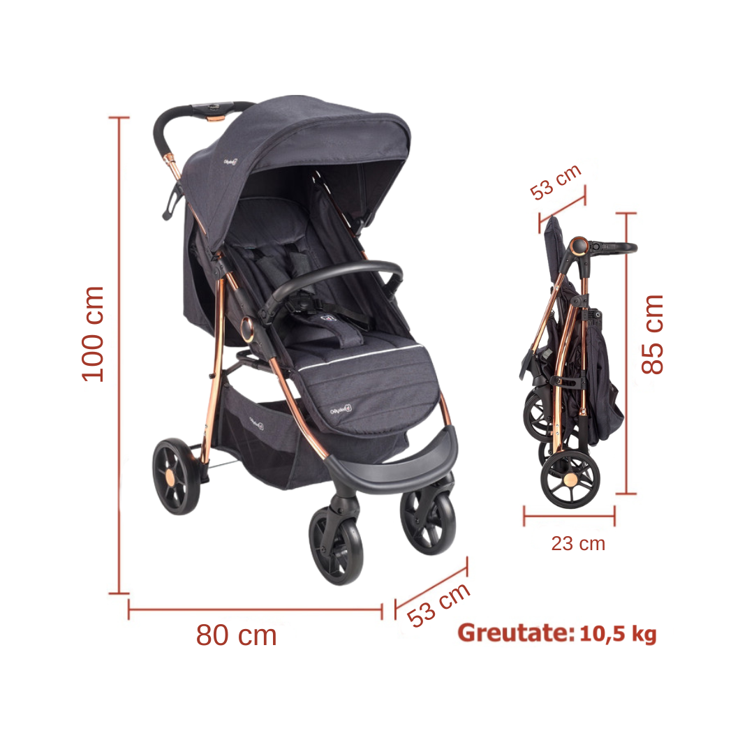 BabyGo - Carucior Style 3 in 1 Black-Rose