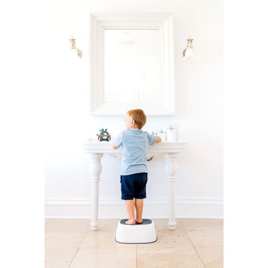 Treapta Inaltatoare si Cutie de Depozitare Prince Lionheart Flushbulb Fuchsia Prince Lionheart 7432