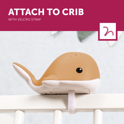  Zazu Kids ZA-WALLY-05